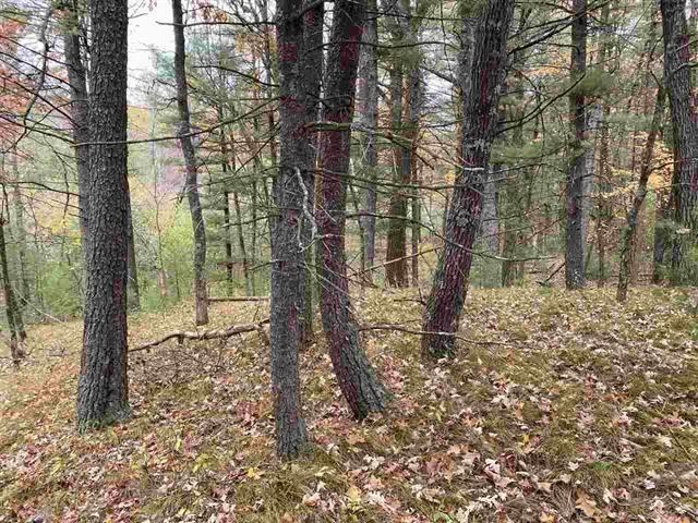 6.17 Acres TOWNLINE ROAD, Wisconsin Rapids, WI 54494