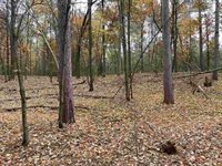 6.17 Acres TOWNLINE ROAD, Wisconsin Rapids, WI 54494
