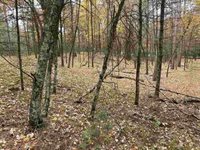 6.17 Acres TOWNLINE ROAD, Wisconsin Rapids, WI 54494