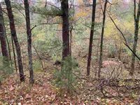 6.17 Acres TOWNLINE ROAD, Wisconsin Rapids, WI 54494