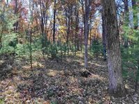 6.17 Acres TOWNLINE ROAD, Wisconsin Rapids, WI 54494