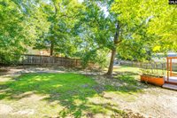 308 Cutter, Chapin, SC 29036