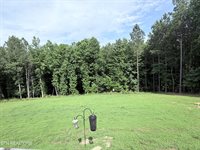 1344 Rayl Hollow Rd, Decatur, TN 37322