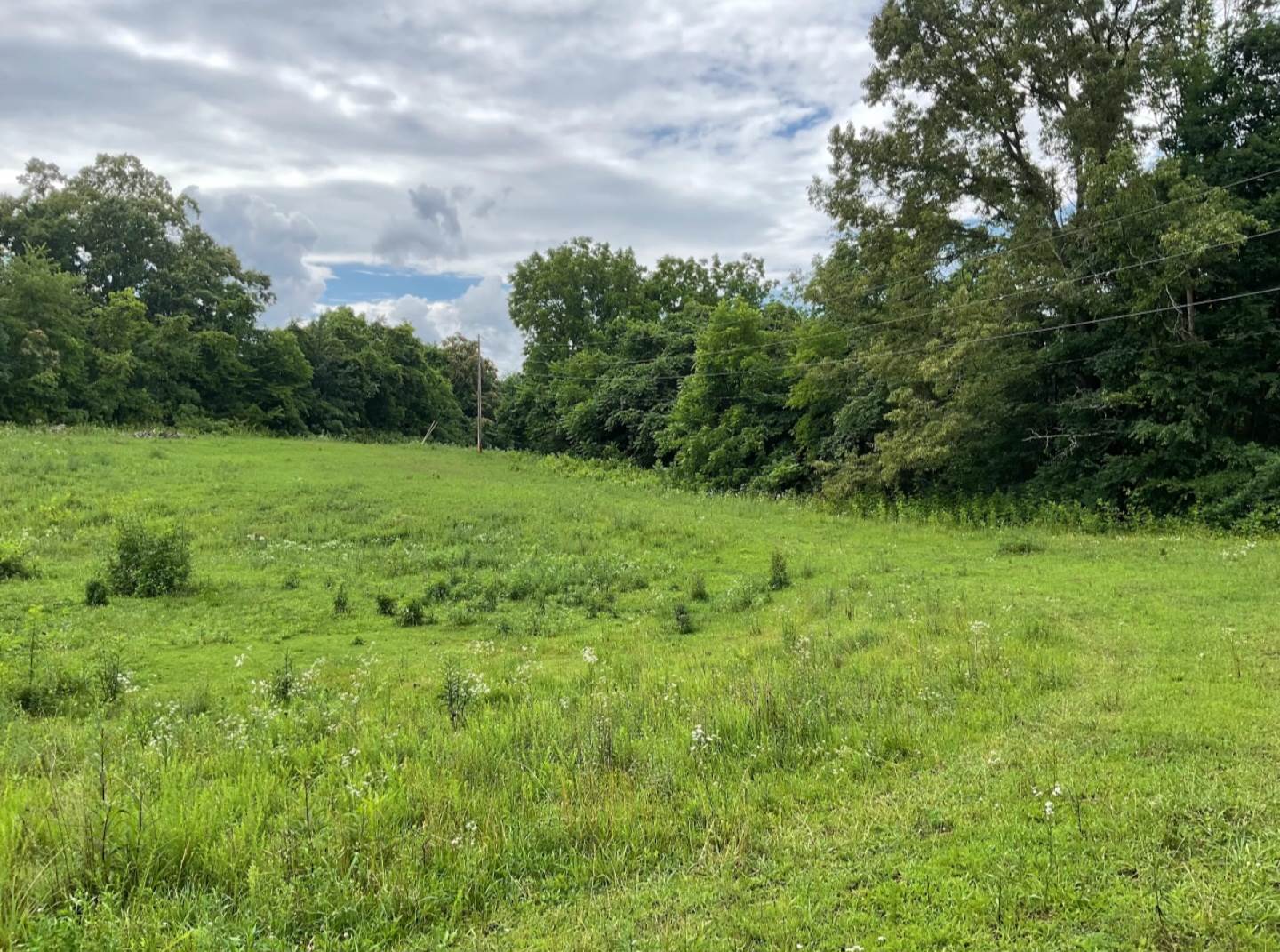 1531 & 1533 Prairie Rd, Talbott, TN 37877