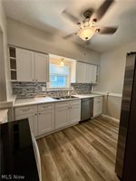1650 Elbur Avenue, Lakewood, OH 44107