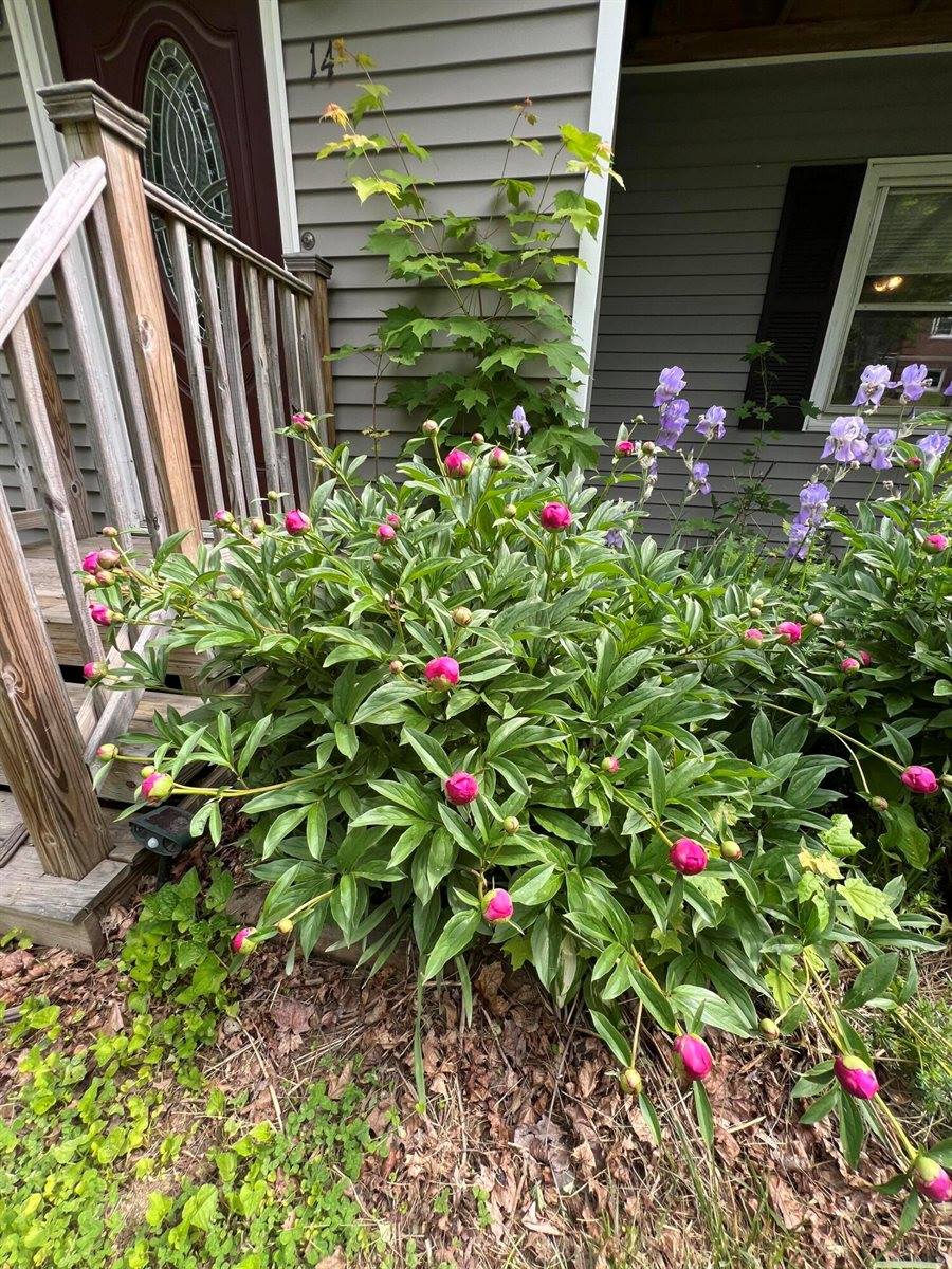 14 Academy Street, Calais, ME 04619