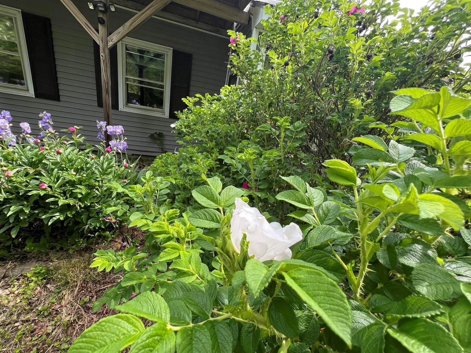 14 Academy Street, Calais, ME 04619