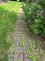 14 Academy Street, Calais, ME 04619