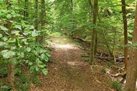 629 Brookview Drive, Chapel Hill, NC 27514
