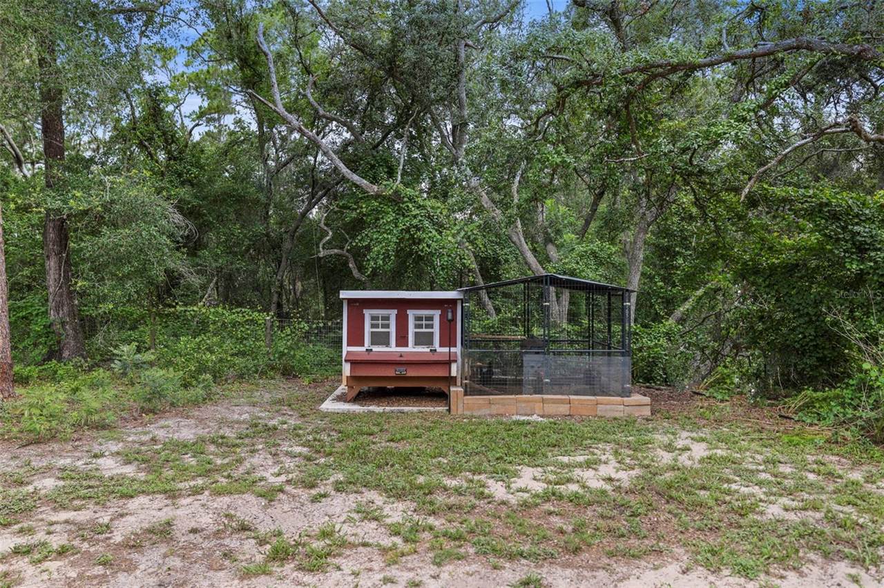 7218 Southeast Avenue, Webster, FL 33597