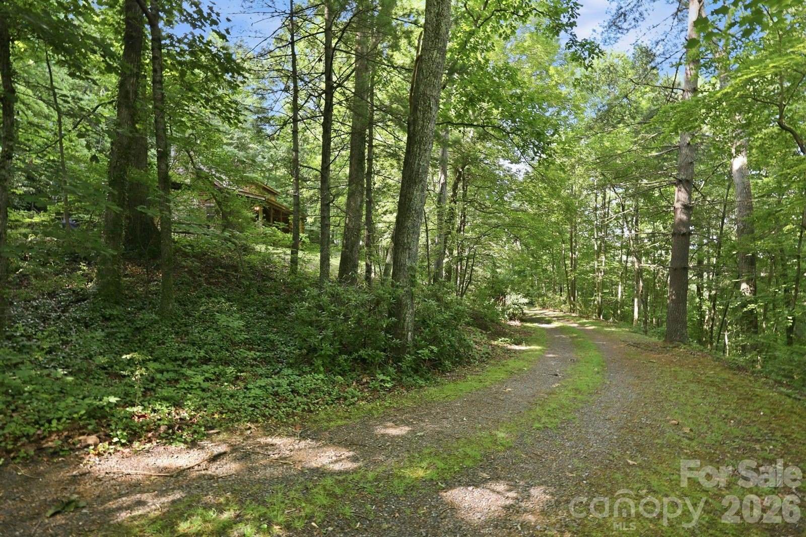3 Parkview Drive Extension, Asheville, NC 28805
