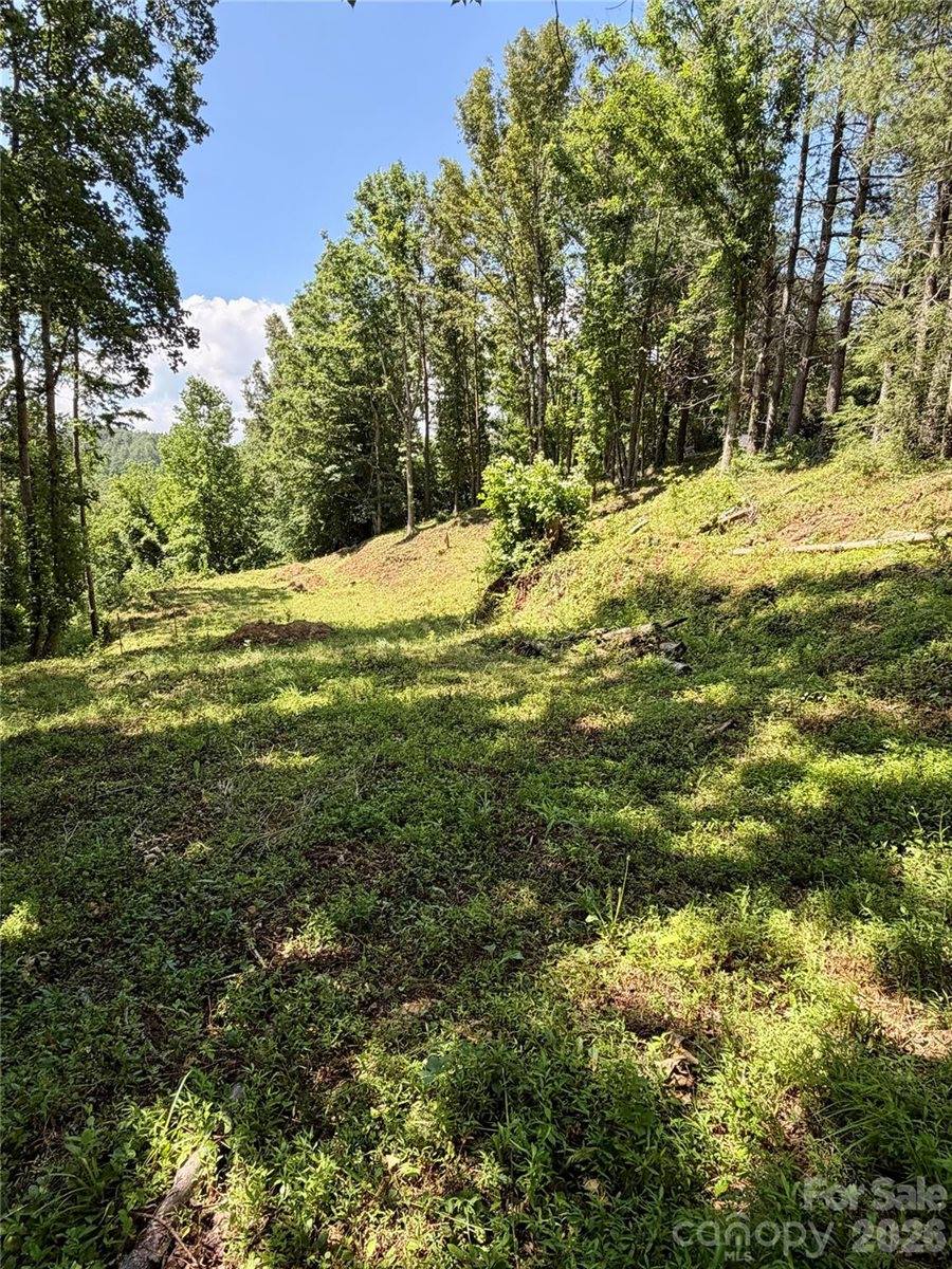 12 Willow Knoll Drive, Weaverville, NC 28787
