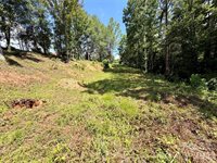 12 Willow Knoll Drive, Weaverville, NC 28787
