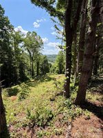 12 Willow Knoll Drive, Weaverville, NC 28787