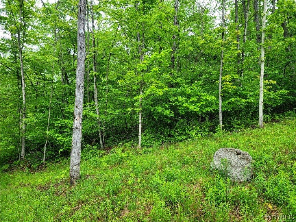 0 Co Road 24- Lot 1, Grove, NY 14884