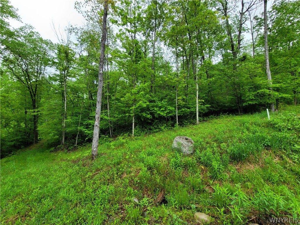 0 Co Road 24- Lot 1, Grove, NY 14884