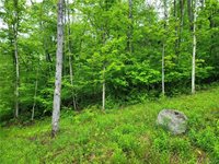0 Co Road 24- Lot 1, Grove, NY 14884