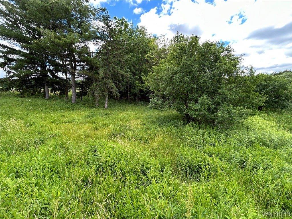 5131 State Route 21, Canandaigua Town, NY 14424