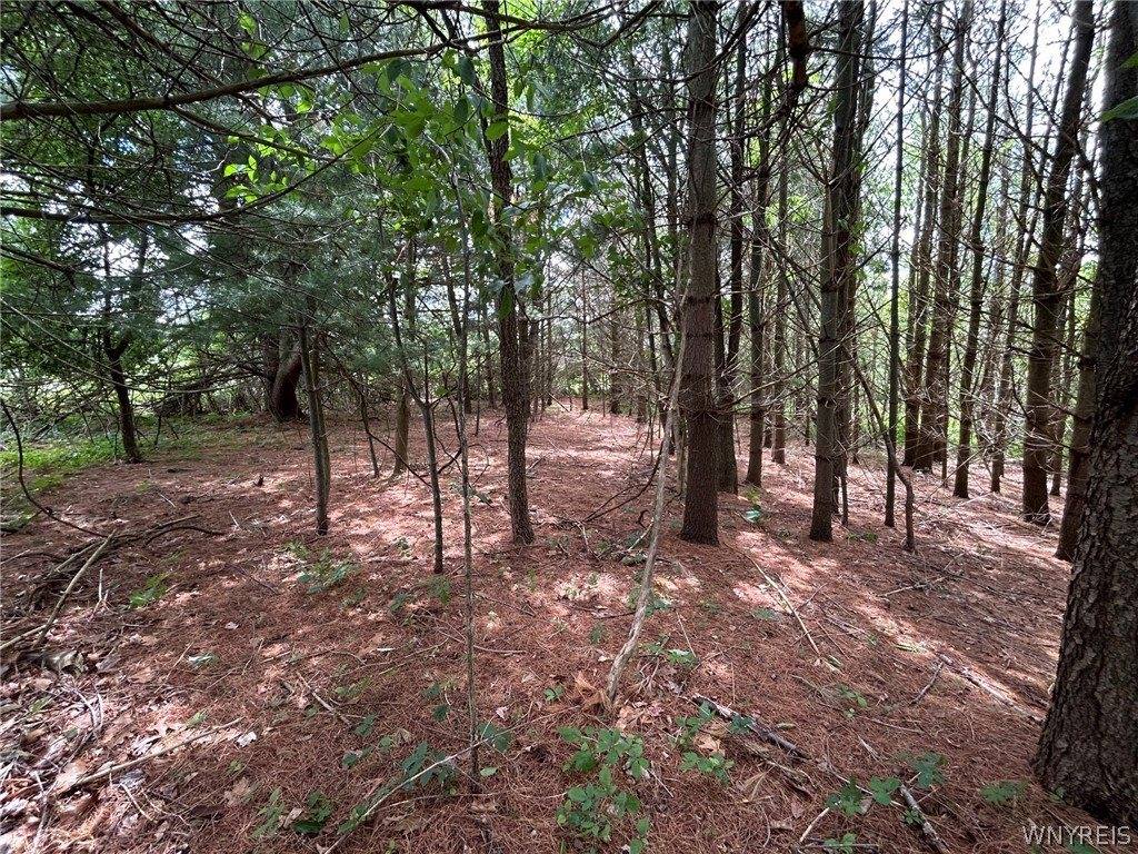 5131 State Route 21, Canandaigua Town, NY 14424