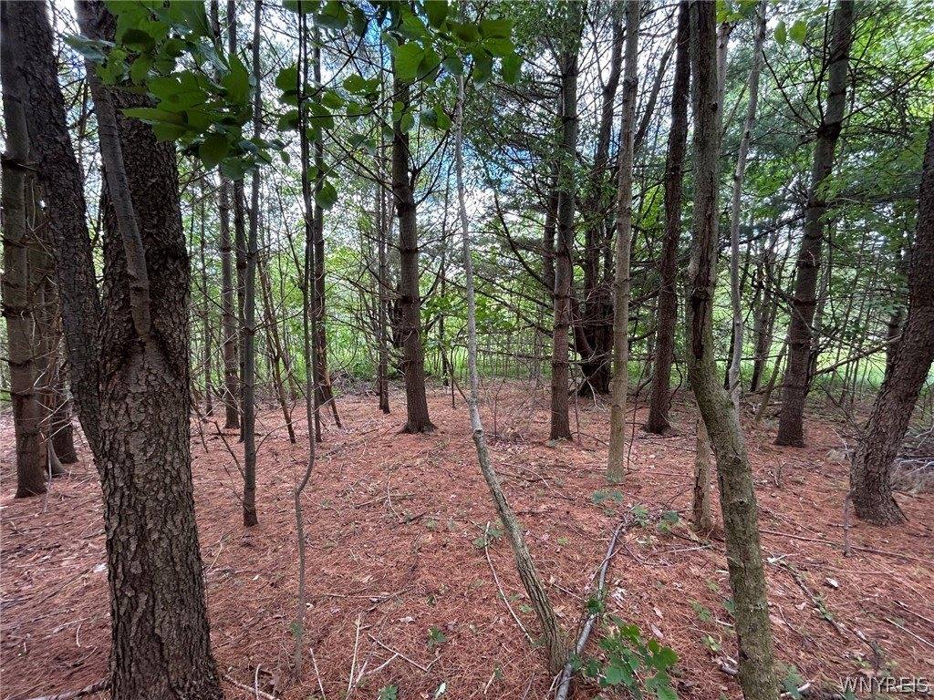 5131 State Route 21, Canandaigua Town, NY 14424