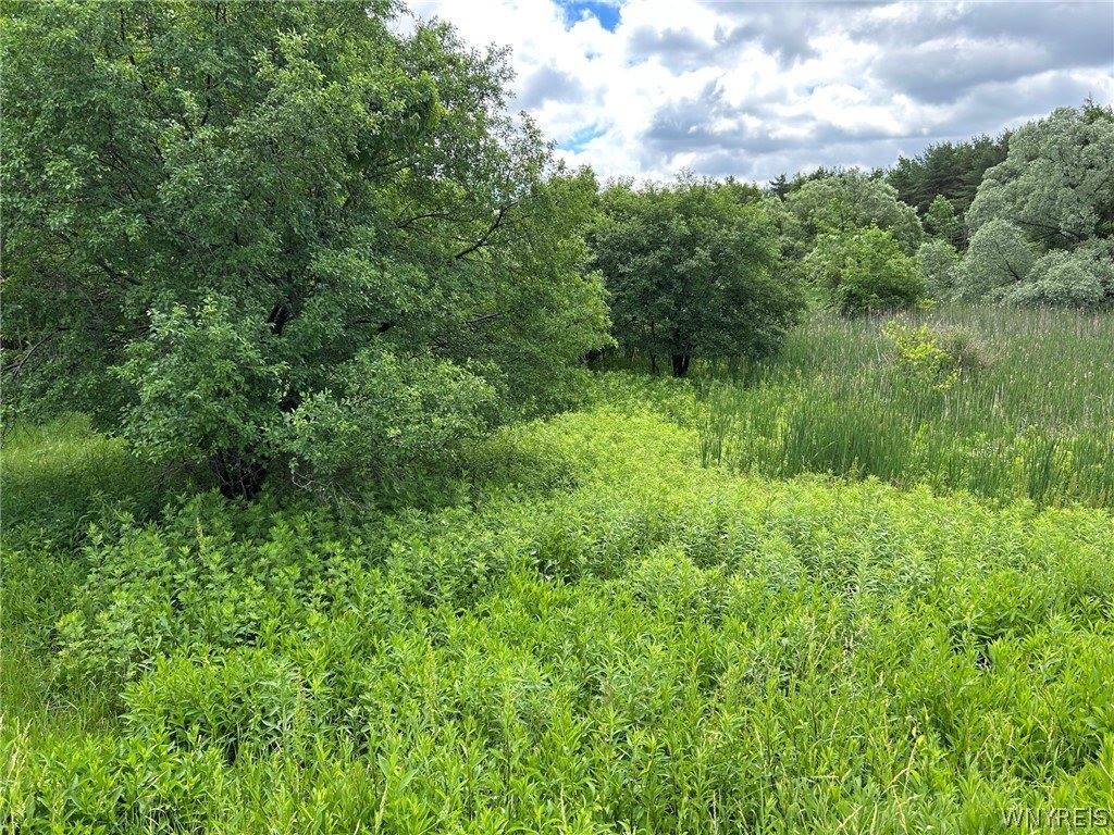 5131 State Route 21, Canandaigua Town, NY 14424