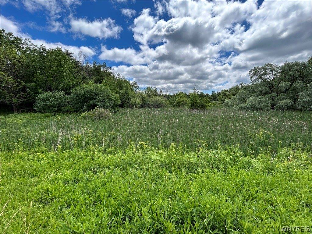 5131 State Route 21, Canandaigua Town, NY 14424