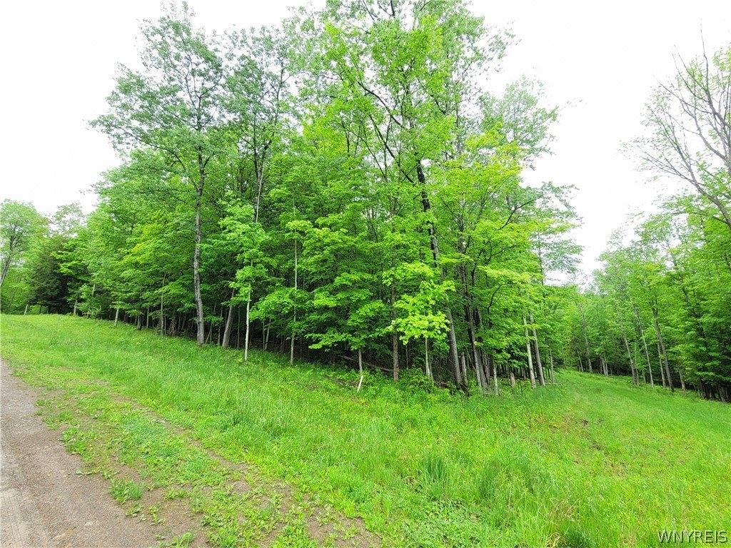 0 Cr-24- Lot 18, Grove, NY 14884
