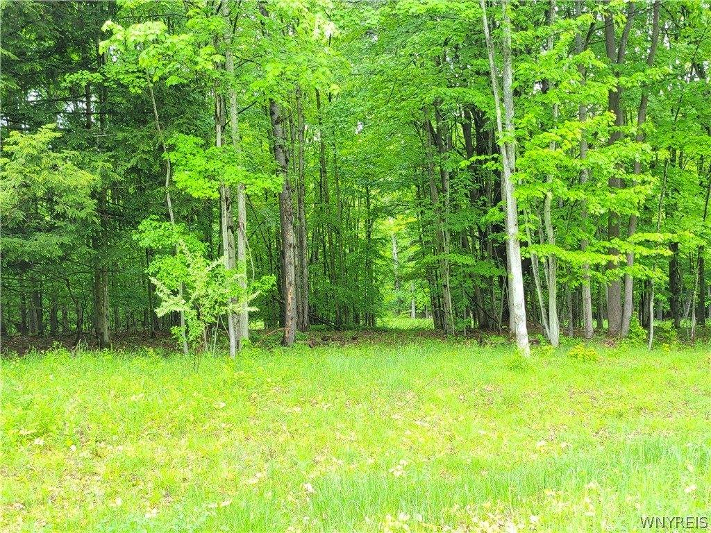 0 Cr-24- Lot 18, Grove, NY 14884