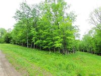0 Cr-24- Lot 18, Grove, NY 14884