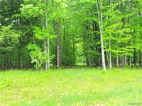 0 Cr-24- Lot 18, Grove, NY 14884