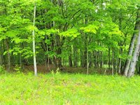 0 Cr-24- Lot 18, Grove, NY 14884