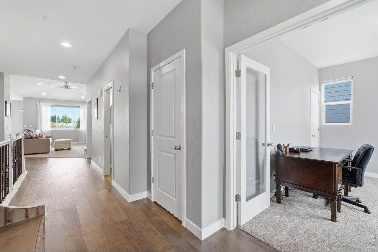 657 Boxwood Dr, Windsor, CO 80550