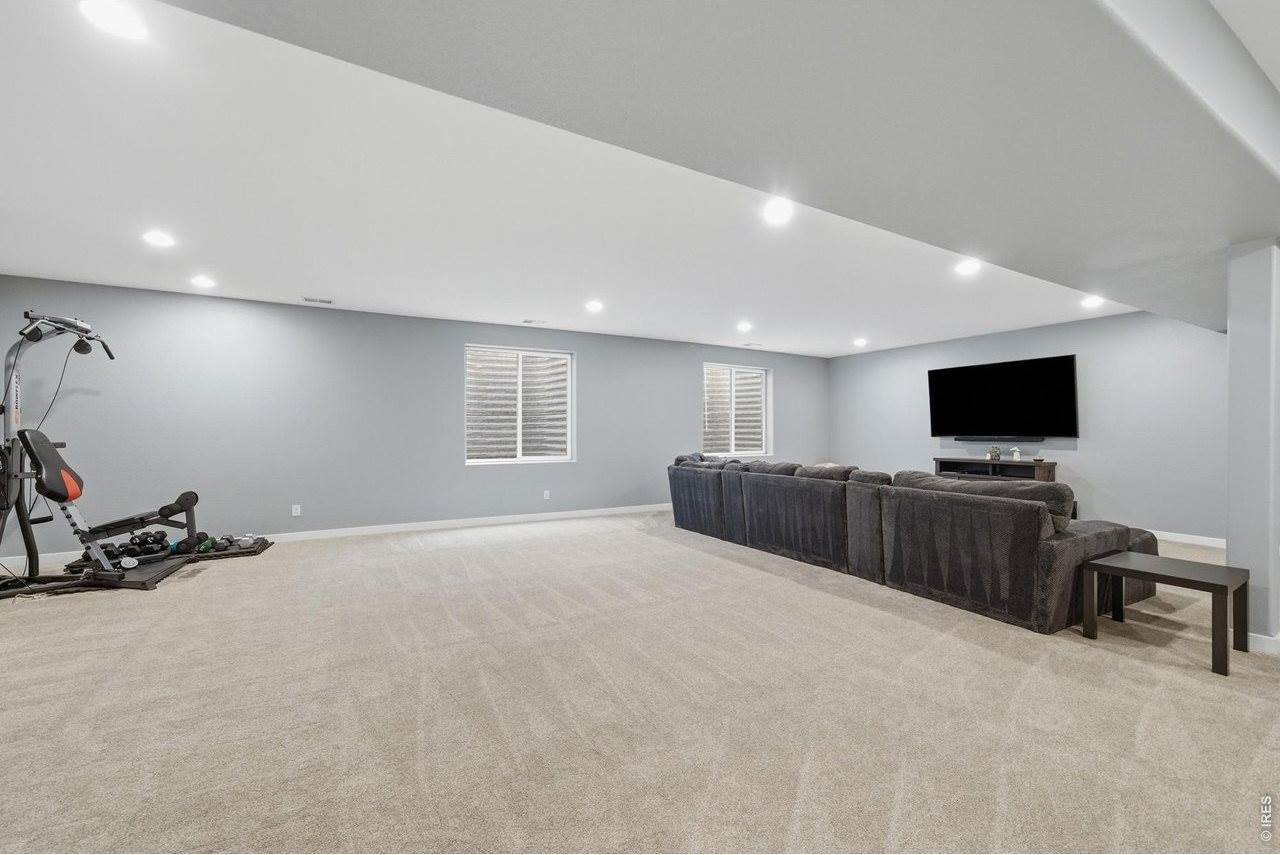 657 Boxwood Dr, Windsor, CO 80550