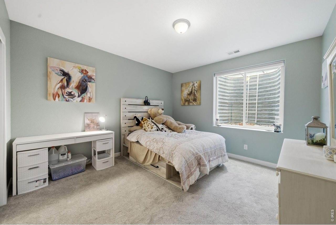 657 Boxwood Dr, Windsor, CO 80550