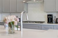 657 Boxwood Dr, Windsor, CO 80550