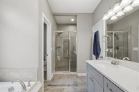 657 Boxwood Dr, Windsor, CO 80550