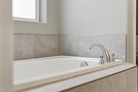 657 Boxwood Dr, Windsor, CO 80550