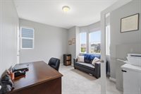 657 Boxwood Dr, Windsor, CO 80550