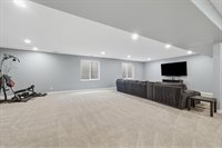 657 Boxwood Dr, Windsor, CO 80550