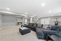 657 Boxwood Dr, Windsor, CO 80550
