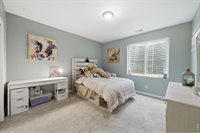 657 Boxwood Dr, Windsor, CO 80550