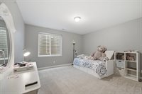 657 Boxwood Dr, Windsor, CO 80550