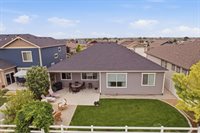 657 Boxwood Dr, Windsor, CO 80550