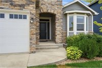 657 Boxwood Dr, Windsor, CO 80550