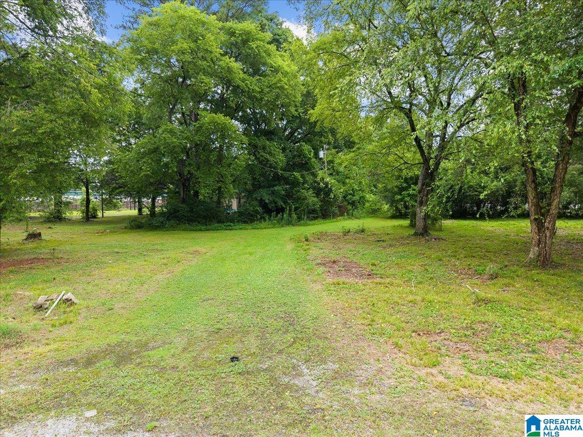 1-11 Hodges Loop, Sylacauga, AL 35150
