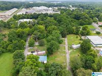 1-11 Hodges Loop, Sylacauga, AL 35150