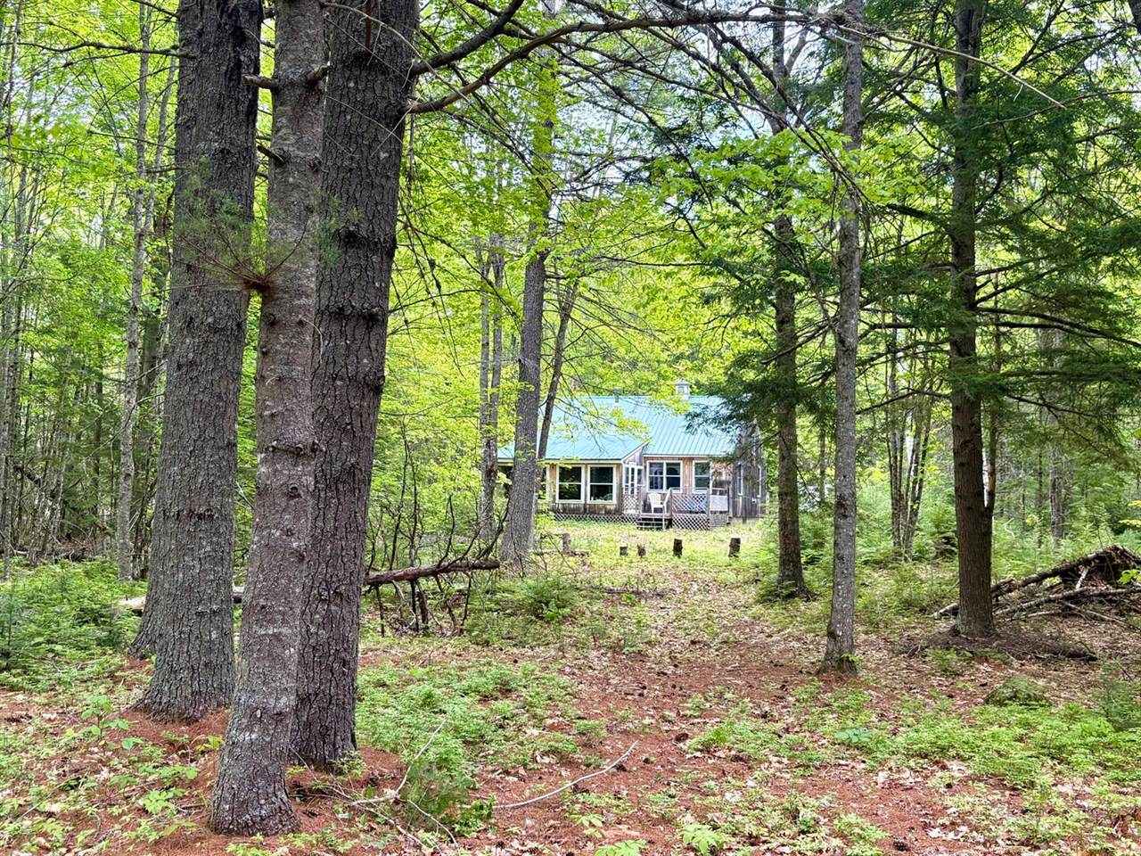 Map03Lot01 White Birch Lane, Passadumkeag, ME 04475