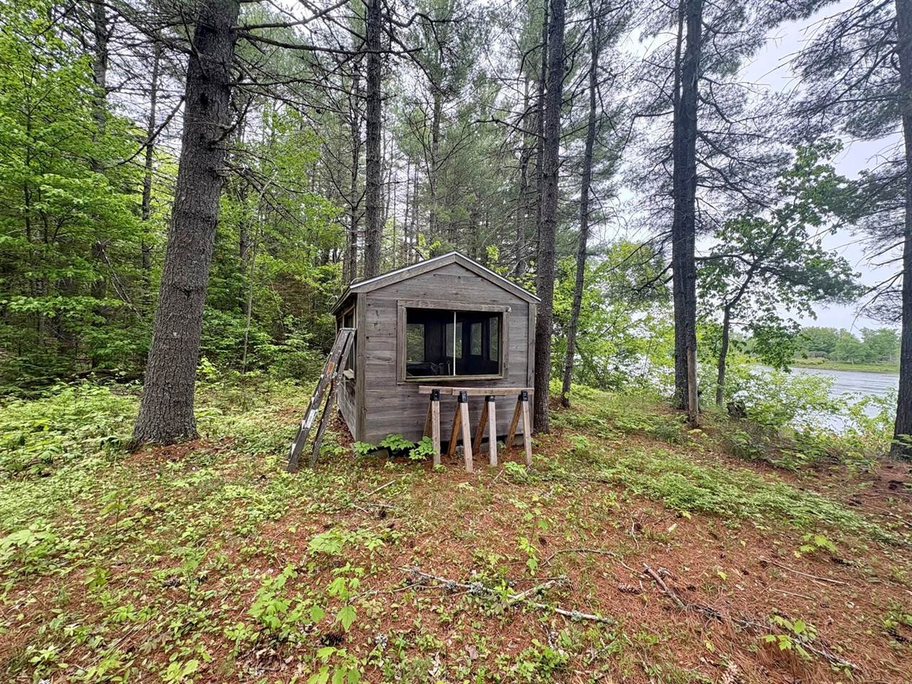 Map03Lot01 White Birch Lane, Passadumkeag, ME 04475