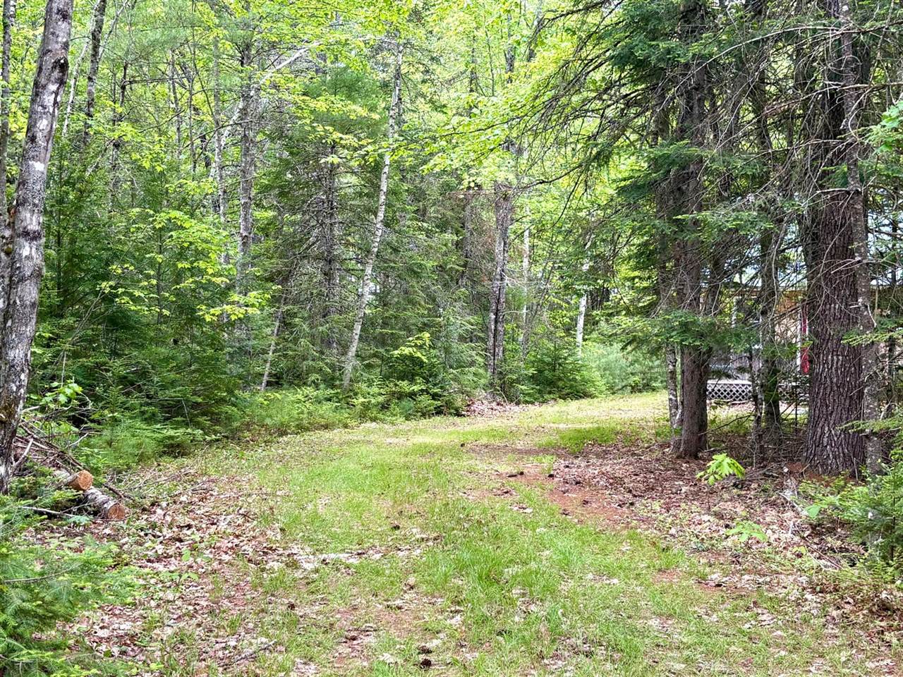 Map03Lot01 White Birch Lane, Passadumkeag, ME 04475