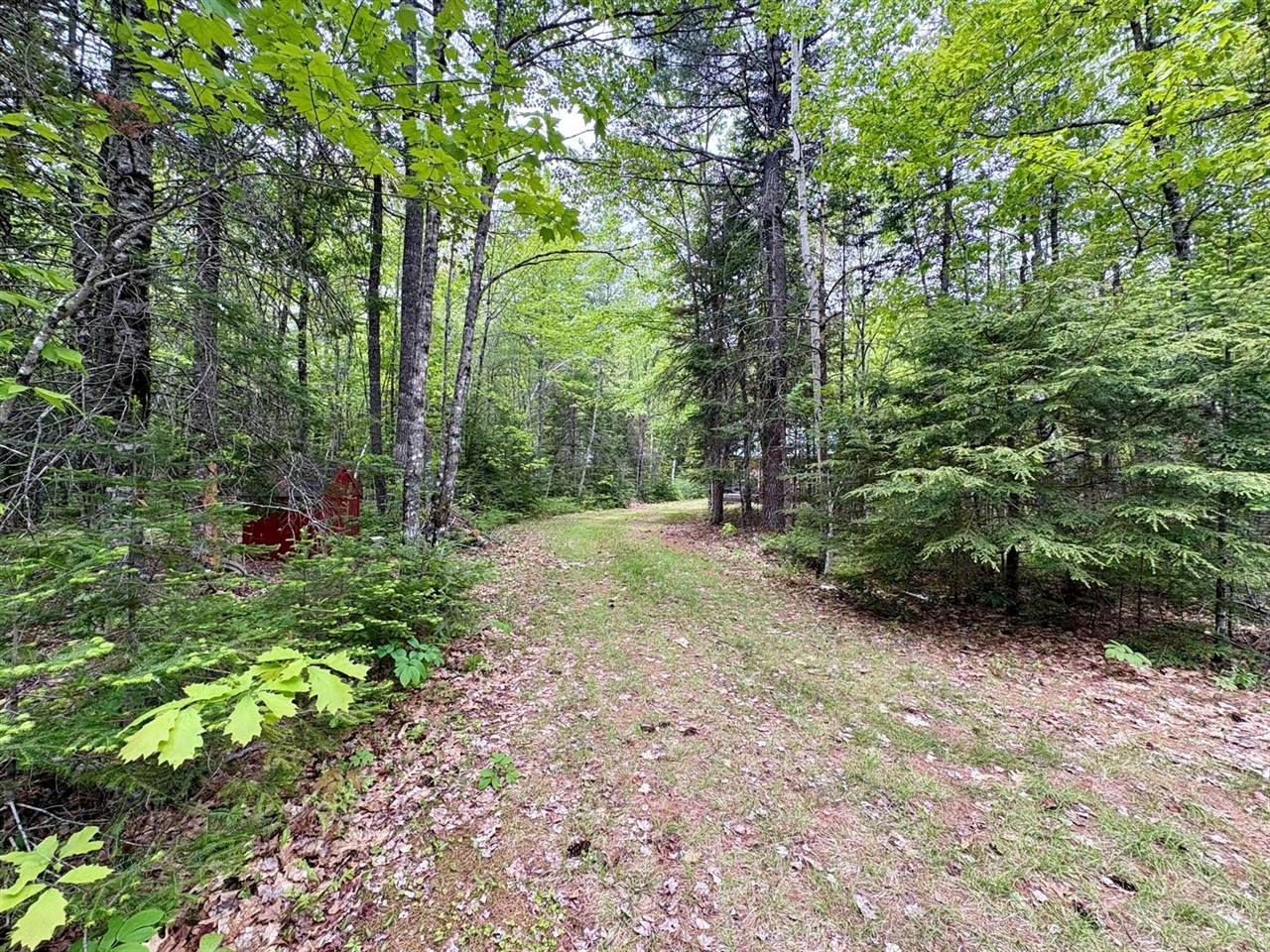 Map03Lot01 White Birch Lane, Passadumkeag, ME 04475